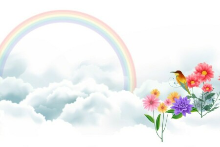 art, bird, clouds, flowers, rainbow, vector drawing