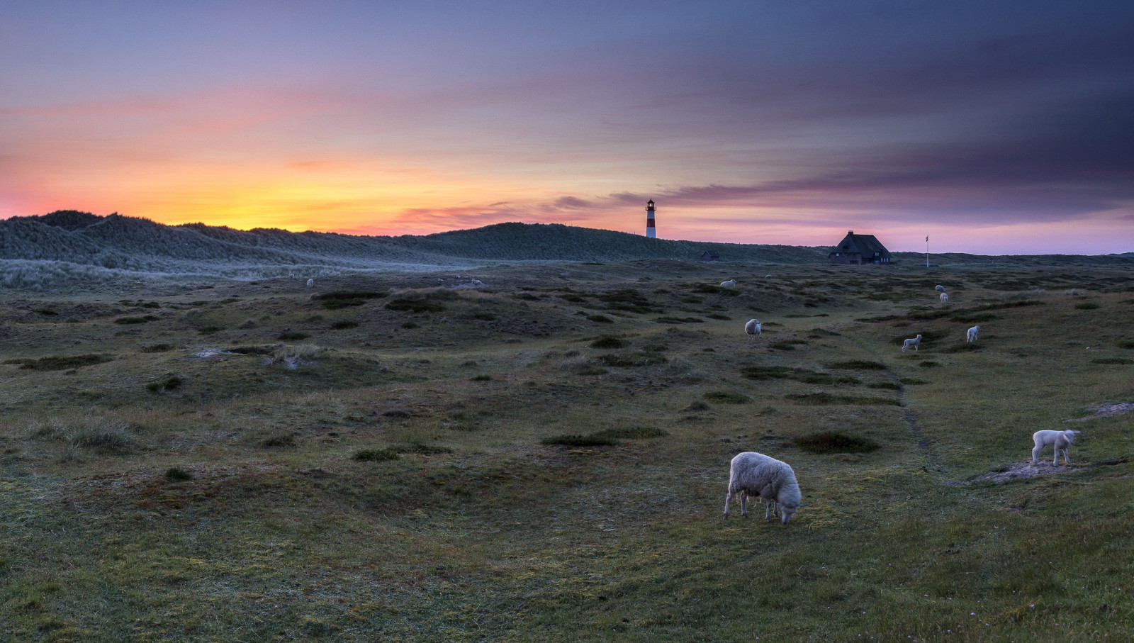 solnedgang, landskab, Fyrtårn, får