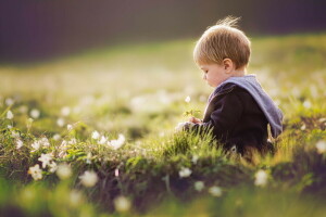 gutt, blomster, sommer