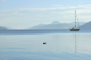 boot, eend, meer, bergen, de lucht, jacht