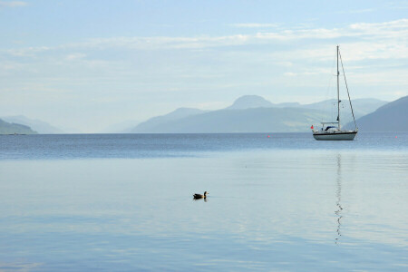 barco, Pato, lago, montañas, el cielo, yate