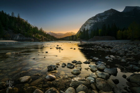 Aube, Lac, montagnes, la nature, des arbres