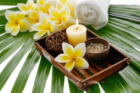 candles, flowers, relax, salt, Spa, Still life, wellness