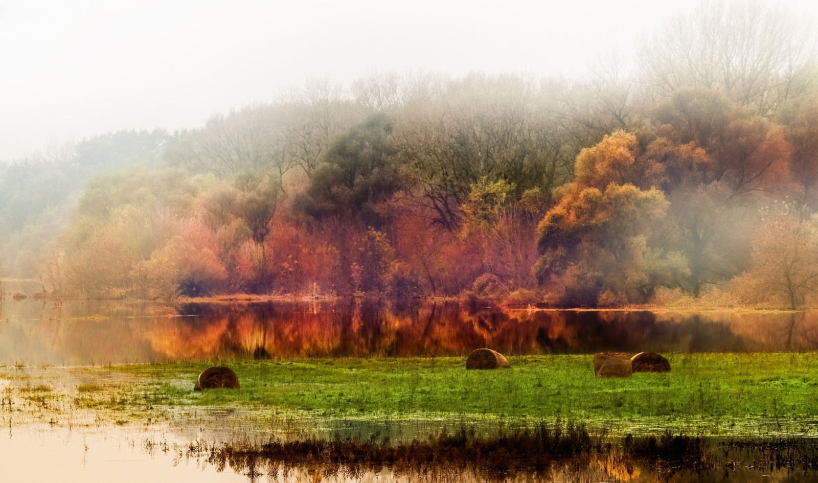 осень, лес, пейзаж, листва, пруд, фотограф, Томас Хаук