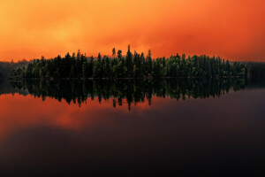 foresta, lago, riflessione, Svezia