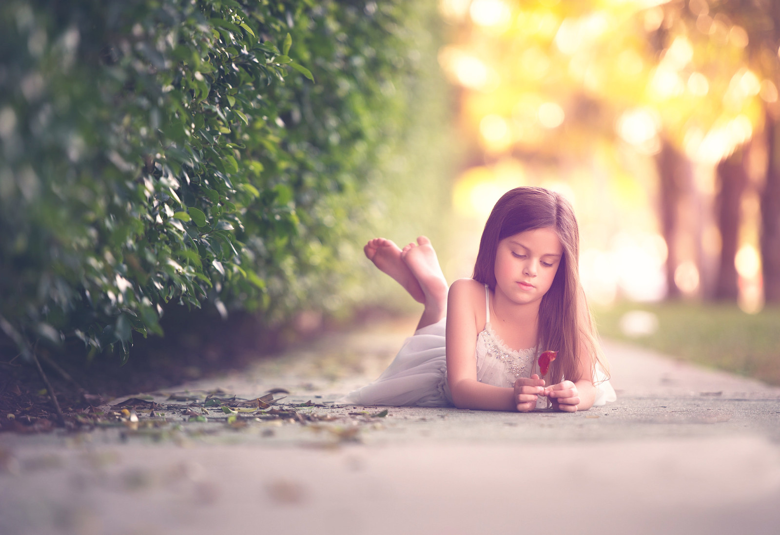 Bokeh, Mädchen, Kleid, Meg Bitton