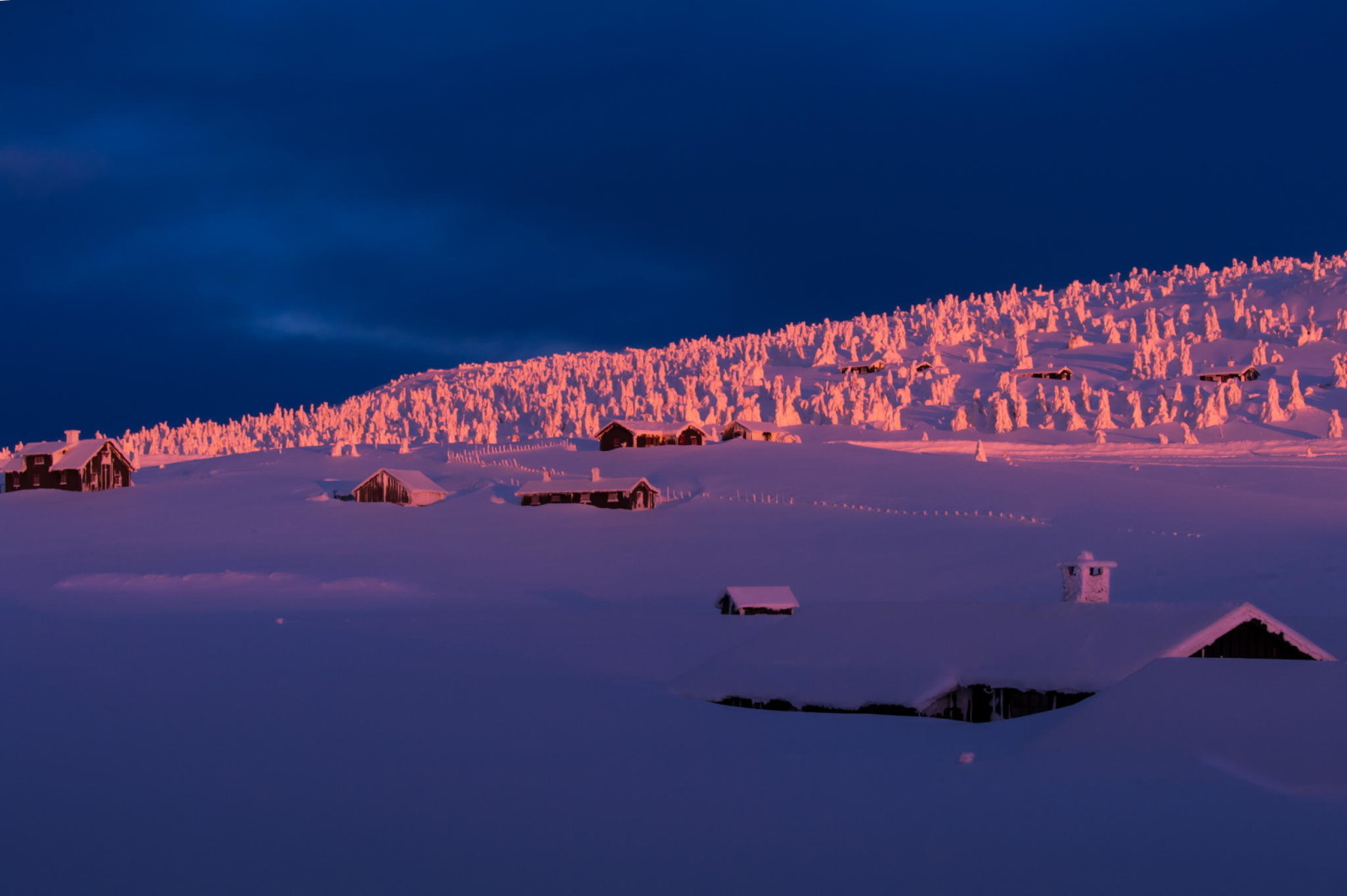 neve, inverno, árvores, casa, rasvet