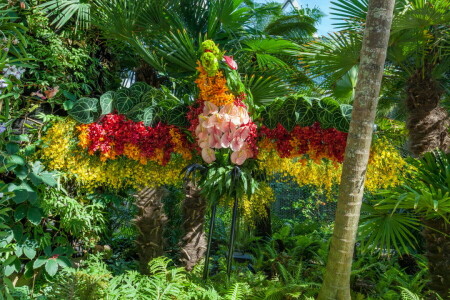 fleurs, Jardin, feuilles, palmiers, Singapour, les buissons