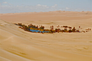 Desert, house, oasis, Palma, sand