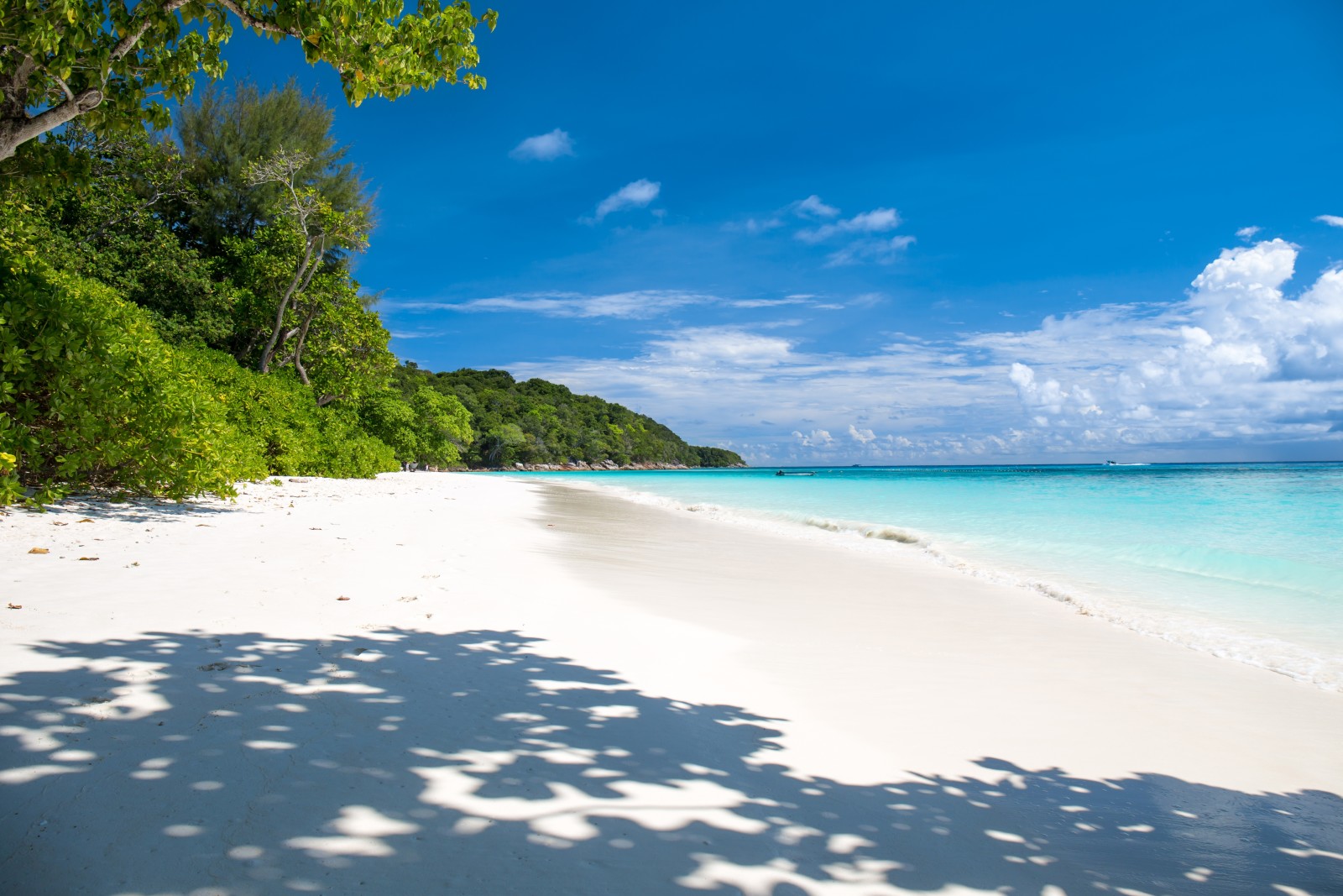 himlen, sommer, kyst, strand, hav, smuk, sand, bølge