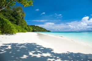 plage, magnifique, palmiers, paumes, paradis, le sable, mer, paysage marin