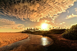 landscape, morning, river