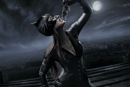 catwoman, costume, maschera, estrazione, notte, ratto, La luna