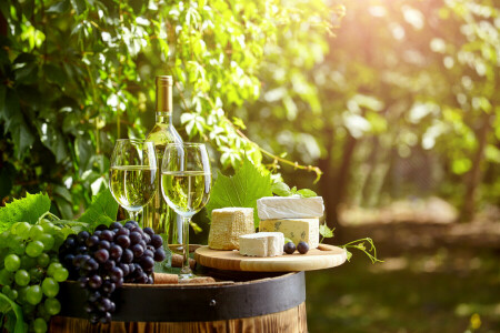 barrel, bokeh, bottle, cheese, Garden, glasses, grapes, greens