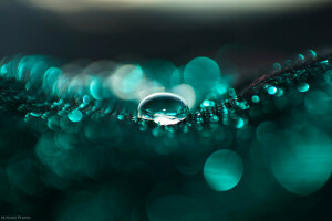 bokeh, solta, gotas, luz, macro