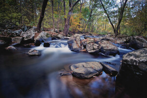 otoño, bosque, río, piedras, corriente