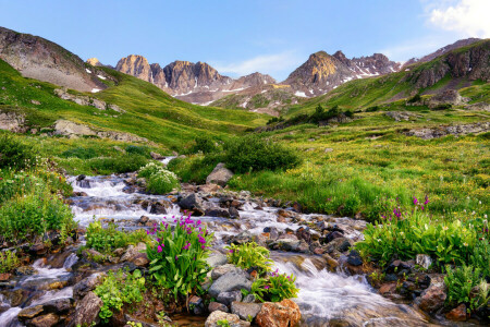 Colorado, flowers, grass, mountains, stones, stream, USA, valley