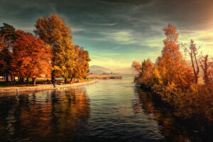 Lakeside, behandling, träd, vatten