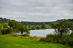 Ellscheid, Nemecko, tráva, jazero, príroda, fotografie, kríky