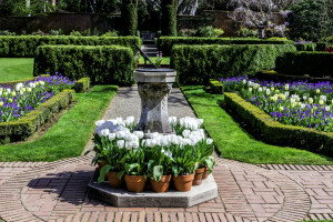 beds, CA, crocuses, design, Filoli Gardens, flowers, Garden, lawn