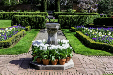 camas, CA, açafrões, Projeto, Filoli Gardens, flores, Jardim, gramado