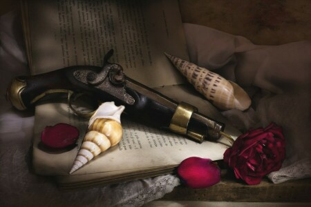 book, gun, petals, rose, shell, Still life, texture