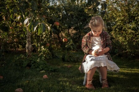 Pomme, pommes, poulet, Jardin, fille, ambiance, été