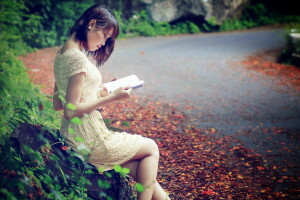 asiático, libro, niña, la carretera