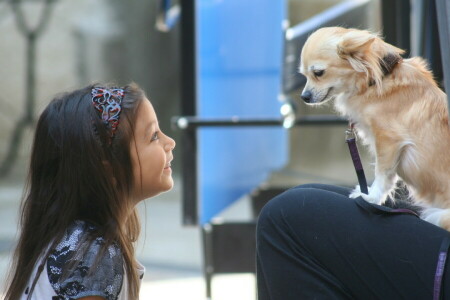 dog, girl, mood