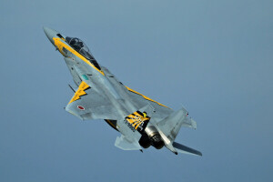 Aquila, F-15, Combattente