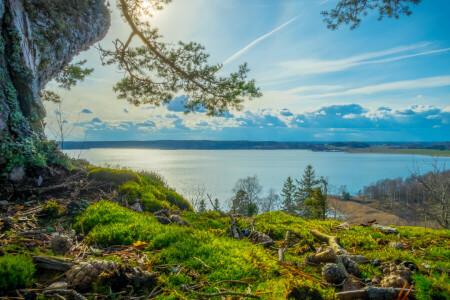 støt, skyer, skog, gress, Grodinge, høyde, elv, shore