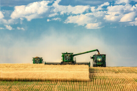 felhők, Por, Farm, terület, aratás, kombájnok, az ég, traktor