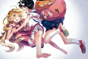 anime, artă, Bakemonogatari, fată, hachikuji mayo cred, Istoria monștrilor, oshino shinobu, Portofoliu