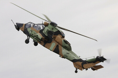 flight, helicopter, shock, Tiger A38