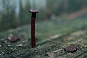 background, macro, nail