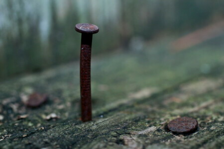 Hintergrund, Makro, Nagel