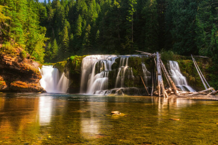 bosque, lago, reflexión, río, arboles, Estados Unidos, Washington, cascada