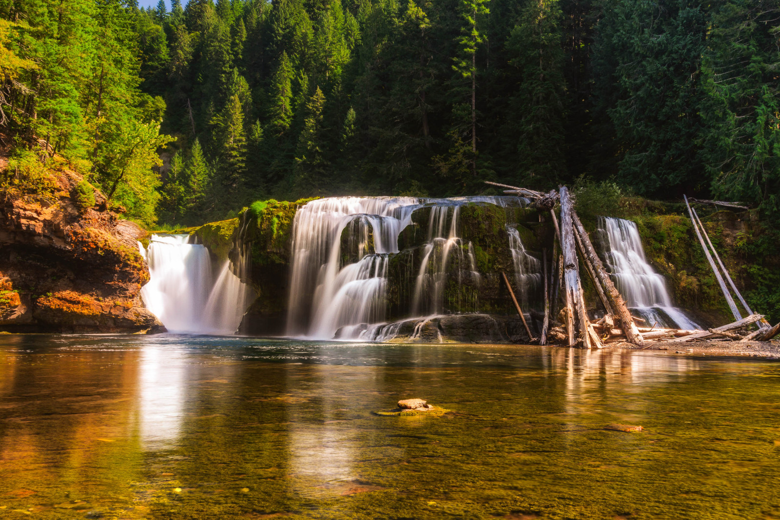 Wald, Fluss, See, Betrachtung, Bäume, Wasserfall, USA, Washington