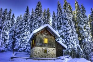 casa, naturaleza, nieve, abeto, arboles, invierno