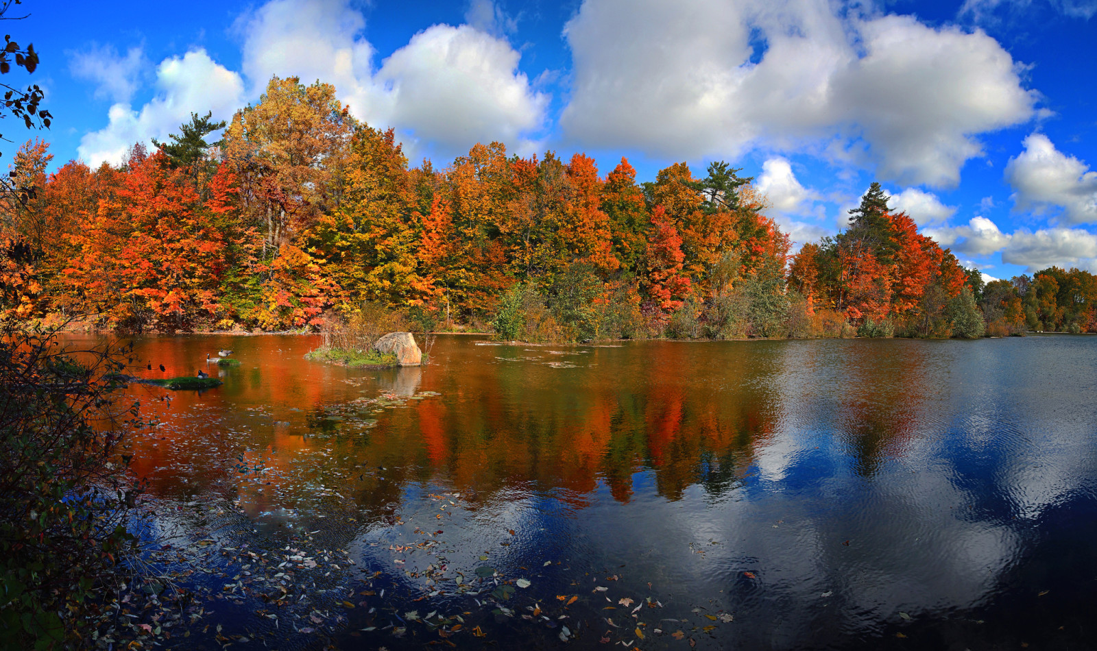 autumn, forest, the sky, lake, trees, Canada, clouds, leaves