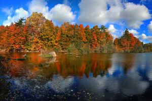 autumn, Canada, clouds, forest, lake, leaves, Ontario, paint