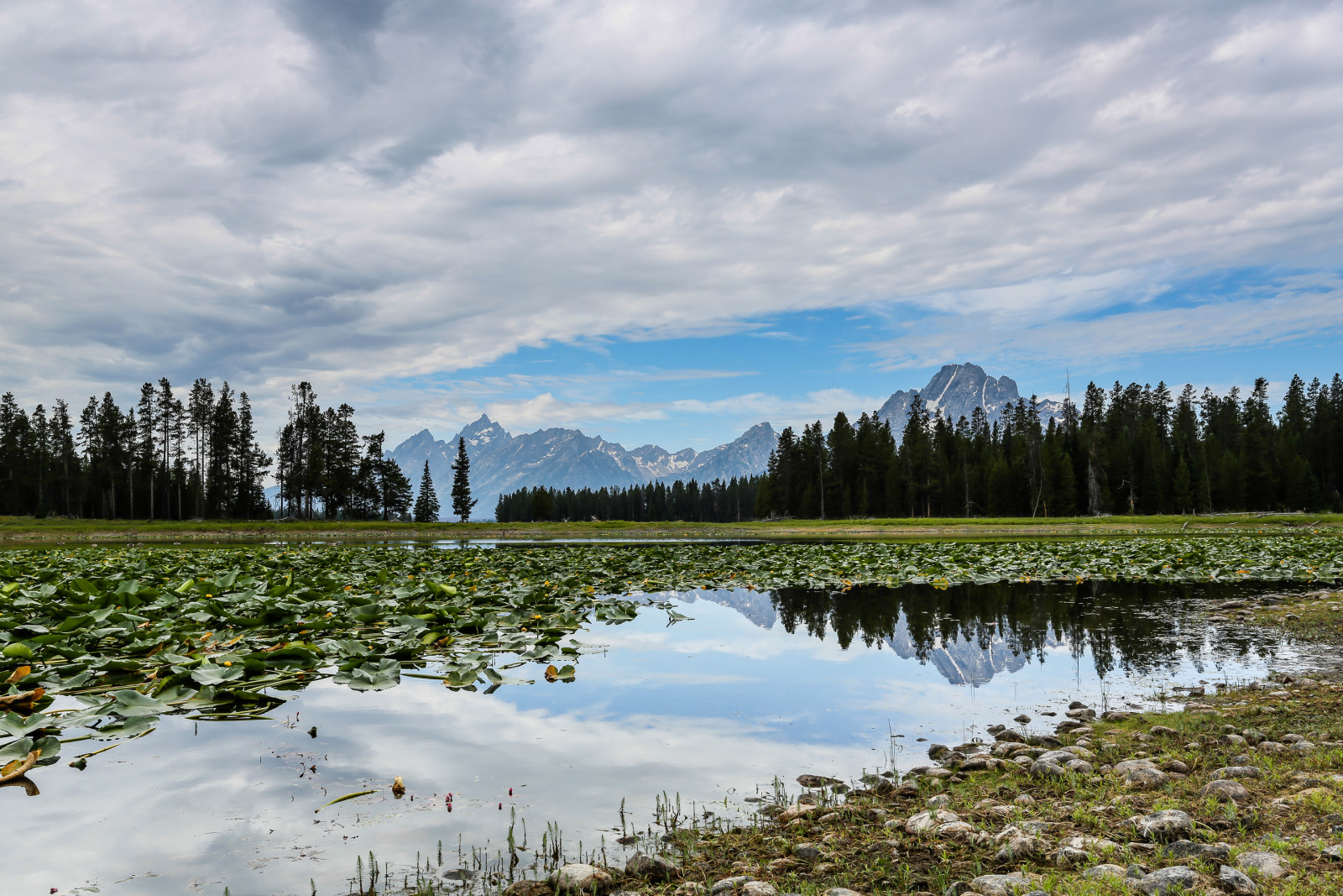 el cielo, lago, invierno, arboles, pantano, nubes, montañas, hojas