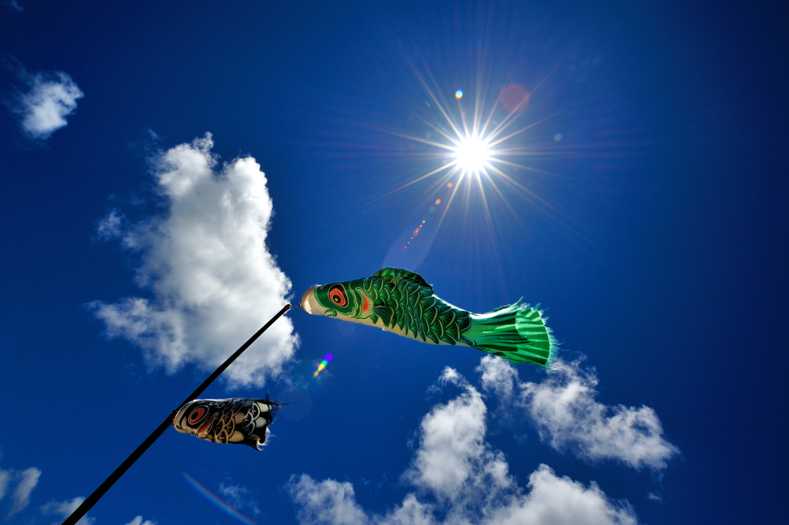 der Himmel, Wolken, Fisch, der Wind, Wetterfahne