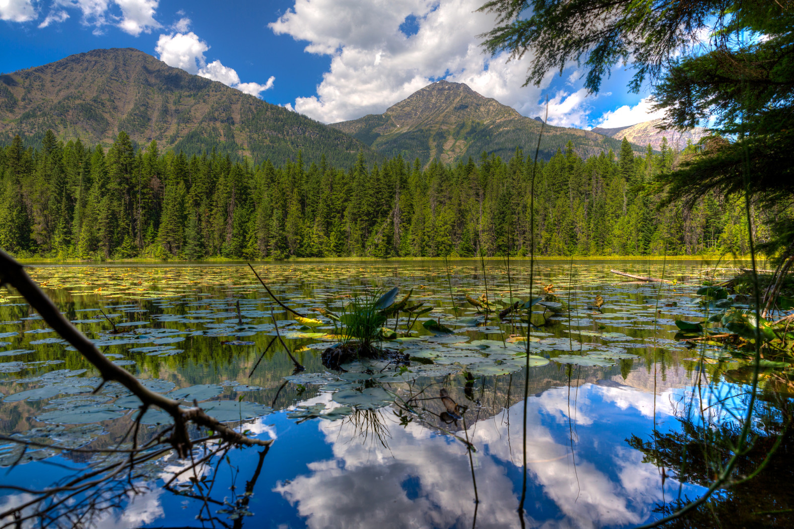 bosque, el cielo, lago, arboles, nubes, montañas, Estados Unidos, Montana