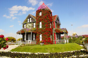 design, Dubai, blomster, hus, græsplæne, Miracle Garden, UAE, Forenede Arabiske Emirater