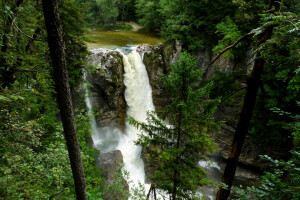 Woud, stenen, bomen, waterval