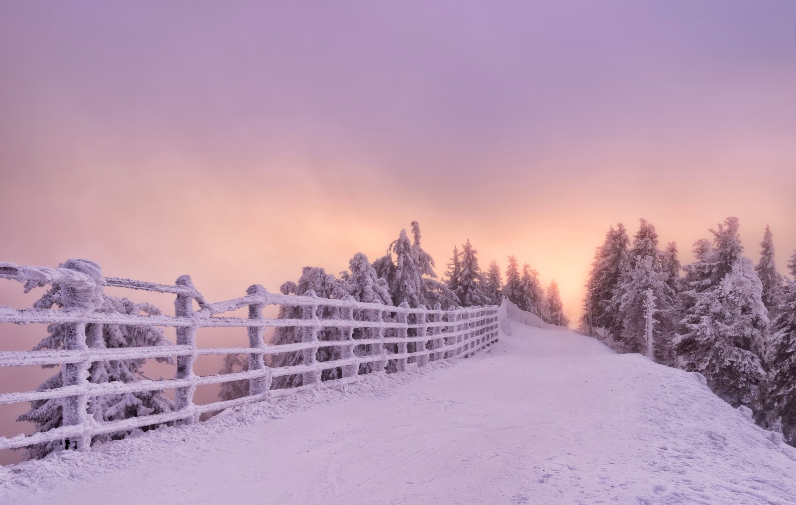 neige, le coucher du soleil, hiver, route, des arbres, la barrière, Roumanie, Brasov