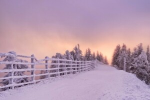 Brasov, vei, Romania, snø, solnedgang, gjerdet, trær, vinter