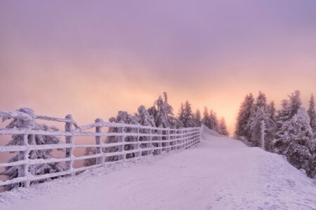 Brasov, väg, rumänien, snö, solnedgång, staketet, träd, vinter-