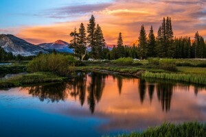 les, jezero, krajina, hory, fotografie, nebe